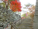 神社の参道に向かって右側の階段