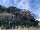 星川砦遠景