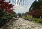 大手道（摠見寺付近から見下風景）…