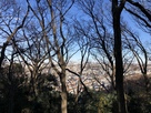 浅間山から新宿方面を見る