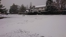 雪に覆われた池泉庭園…