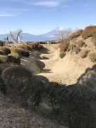 畝堀と富士山