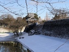 冬の熊本城戌亥櫓…