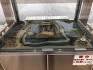 駅前の勝幡城模型…