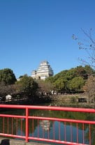 動物園から見た姫路城天守…