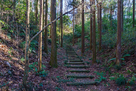 主郭西側の登城口