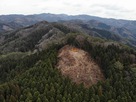 武節城の詰城_夏焼城全景