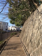 仙川沿いの歩道と、城の西側の高低差