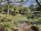 下茶屋公園の池…