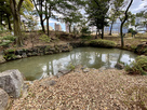 下茶屋公園の池石垣…