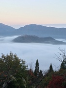 立雲峡から見た雲海の竹田城跡…