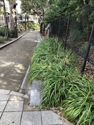 惣構北端　きしの砦跡（猪名野神社）