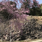 登口横の石垣