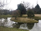 大内氏館庭園の写真