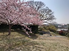 桜と玉石垣