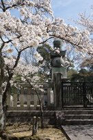 桜満開と五輪塔