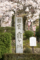 桜と城址碑