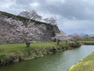 西堀と高石垣