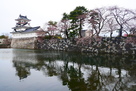 模擬天守と水堀の桜３月２５日…