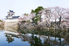 模擬天守と水堀の桜３月２７日…