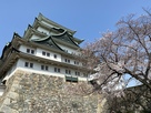桜と名古屋城天守閣…