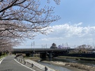 桜と東海道新幹線と清洲城…