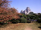 西の丸庭園から姫路城（改修前）