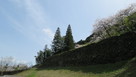 米蔵跡の石垣