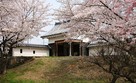 隅櫓内側の土塁と桜…