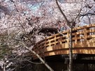 桜雲橋