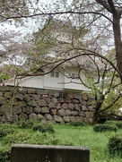 櫓と桜