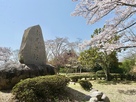 桜と松尾城石碑