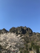 岩櫃山と桜