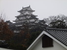 鷺と白鷺城