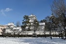 城址近景雪景色…