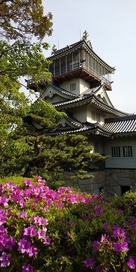 躑躅と岩崎城