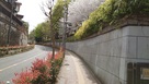 平塚神社東側の城塁跡…