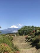 障子堀と富士山…