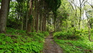 大手道(南三ノ丸－柿崎屋敷)…