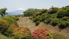 畝堀とツツジと富士山