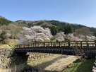 御屋形橋と桜風景…
