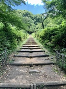 緑に囲まれた大手道…