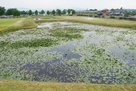 本丸土塁からの水堀と右郭