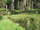 石垣の前の溝
