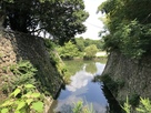 鵜の首（御深井丸と塩蔵構）