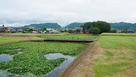 本丸土塁前も土橋と水堀…