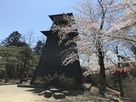 沼田城　鐘楼と桜…