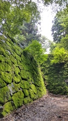 新緑時の苔むす石垣…