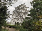 博物館脇の日本庭園から見た模擬天守…