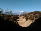 西の丸畝堀からの富士山…